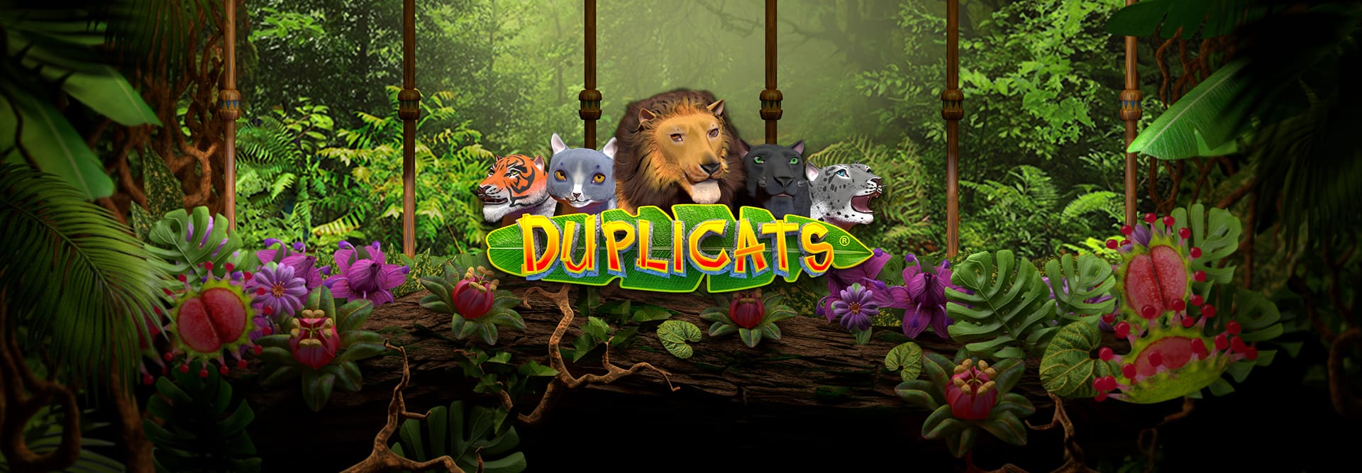 Duplicats - Game Banner